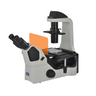 Nexcope 40-400X LED Inverted Fluorescence Microscope, SKU Nexcope-NIB610FL-Trinocular, three quarter front view