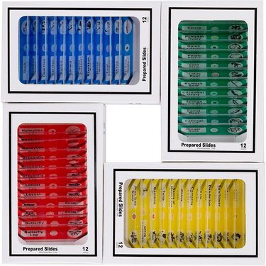 48 Pcs Kids Plastic Prepared Microscope Slides Samples (Animals Insects Plants Flowers), SKU SL39901014, three quarter front view