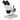 10X/20X Widefield Stereo Microscope, Binocular, Post Stand (Height 155mm) Fixed Head, SKU FS12110121, three quarter front view