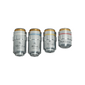 Plan Achromatic Microscope Objective Lens Set (Oil Spring) 4X 10X 40X 100X, SKU BM14033031, three quarter front view