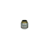 Objective Working Distance 20.6mm 4X Infinity Plan Achromatic Objective, SKU Nexcope-NE610-Objective-4-A, three quarter front view