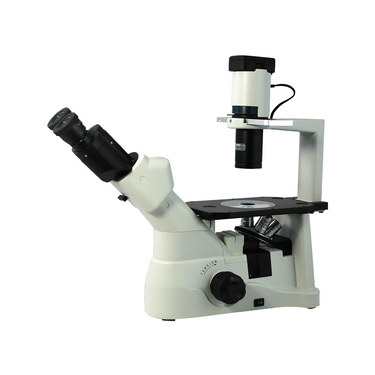 40X-600X Inverted Biological Compound Laboratory Microscope, Binocular, Halogen Light, Phase Contrast Objectives, SKU BM05130203, three quarter front view
