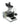 Phase Contrast Microscope