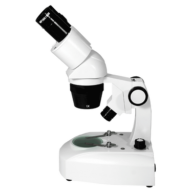 10X/20X Widefield Stereo Microscope, Binocular, Track Stand, Halogen Top and Bottom Light, Bright Field