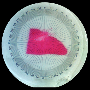 Net Grid Reticle ( Dia. 20mm) RT20106121