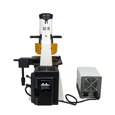 100X-400X Inverted Fluorescence Microscope, Trinocular, Dual Light HM