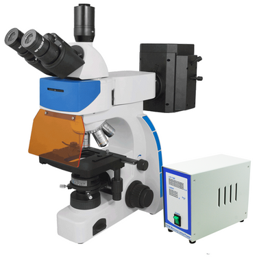 40X-1000X Fluorescence Microscope, Trinocular, Dual Light MH, SKU FM03020303, three quarter front view