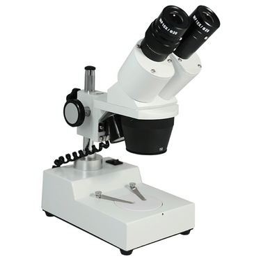 10X/30X Widefield Stereo Microscope, Binocular, Post Stand, LED Top Light (Fixed Head)