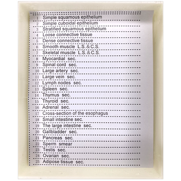 25 Prepared Microscope Slides Specimen Set, Human Anatomy Organ Tissue Cells