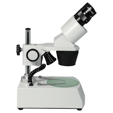 10X/30X Widefield Stereo Microscope, Binocular, Post Stand, LED Top and Bottom Light, Bright Field (Fixed Head) Portable
