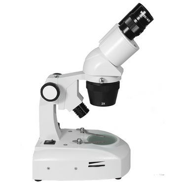 10X/20X Widefield Stereo Microscope, Binocular, Track Stand, LED Top and Bottom Light, Bright Field