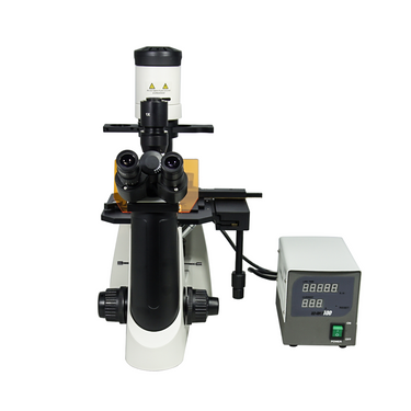 100X-400X Inverted Fluorescence Microscope, Trinocular, Dual Light HM