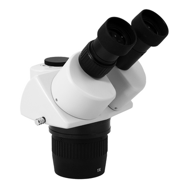 10X/30X Dual Power Stereo Microscope Head, Trinocular, Focusable Eyepiece FS05031231