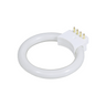 8W Ring 8W Fluorescent Ring Light Bulb, SKU BU99021113, three quarter front view