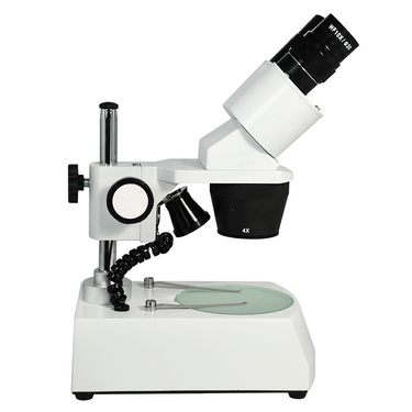 20X/40X Widefield Stereo Microscope, Binocular, Post Stand, LED Top and Bottom Light, Bright Field (Fixed Head)