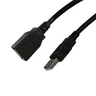 USB Extension Cable, A-Male to A-Female (1.5 meter, 5 feet), SKU EC02545403, three quarter front view