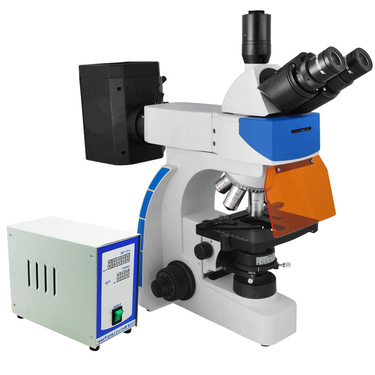 40X-1000X Fluorescence Microscope, Trinocular, Dual Light MH FM03020303